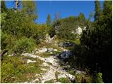 Konec ceste na Vogar - Planina Lopučnica